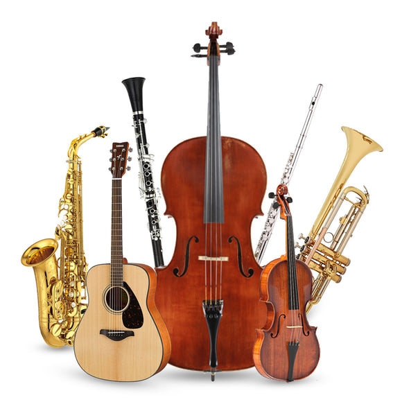 Musical Instruments and Accessories