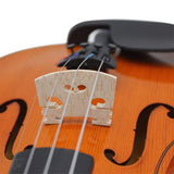 Violin Bridge Uncut Maple Wood Bridge 4/4