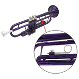 Trumpet Finger Ring Screw - 5 pcs of Fixing Screws Set