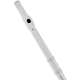 Flute 16 Key Closed Hole C Flute with Case & Cleaning Care Kit