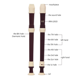 Brown Baroque Recorder 8 Holes Soprano with Cleaning Care Kit, Finger Chart & Case Bag